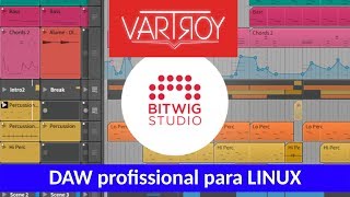 Bitwig Studio  Linux [upl. by Tessa]