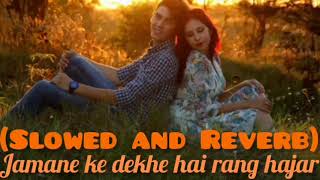 Jamane ke dekhe hai rang hajar slowed amp reverb Anuradha Paudwal song Sadak [upl. by Ytsim960]