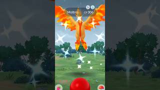 🤯😲worlds first SHINY GALARIAN MOLTRES caught in pokemon go [upl. by Aznerol766]