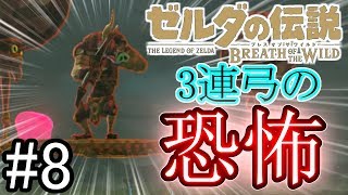 【BotWのんびり編】強い武器を沢山手に入れて余裕ぶっこいてたけど、これマスターモードやった・・・【ゼルダの伝説 ブレスオブザワイルド】 [upl. by Baese]