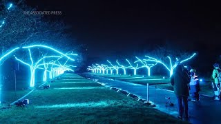 Spectacular festive light show twinkles at Londons Kew Gardens [upl. by Bergren]