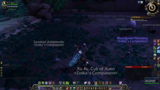 WOW  Pet Battle  Clear the Catacombs Suramar  Bloodgazer Team Rumble [upl. by Akkina]