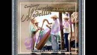 Conjunto Jarocho Medellin El Cupido [upl. by Eatnahs]