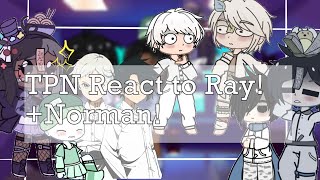 The Promised Neverland React to RayNorman x Rayft Somebody special [upl. by Reinnej385]