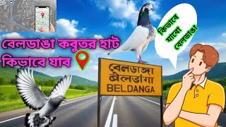 বেলডাঙা কবুতর পায়রা হাট কী ভাবে যাবো👇।মুর্শিদাবাদ বেলডাঙা কবুতর হাট কী ভাবে যাবো [upl. by Nosam]