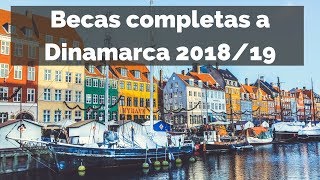 La beca completa para estudiar en Dinamarca [upl. by Tapes]