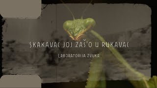 Laboratorija zvuka  Skakavac joj zašo u rukavac Official lyric video [upl. by Connell]