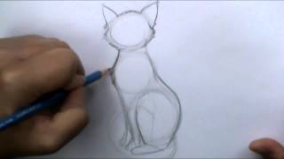 How to draw a basic cat sitting [upl. by Kara]