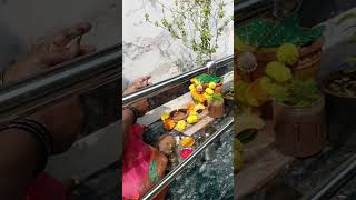 Tulasi Laxmi swaroopam [upl. by Leod]