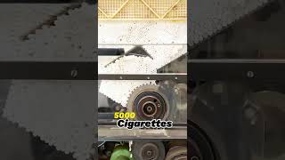 Behind The Scenes  Cigarette Making Process [upl. by Nna]