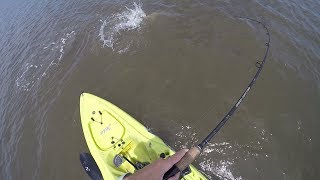 Exploring Palm Coast Fishing for Redfish or Trout [upl. by Lurline]