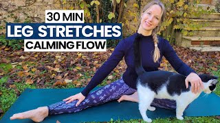 30 min Calming Yoga Leg stretches for a peaceful mind [upl. by Eibor]