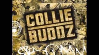 Collie Buddz  Collie Buddz  Come Around HQ [upl. by Livesay605]