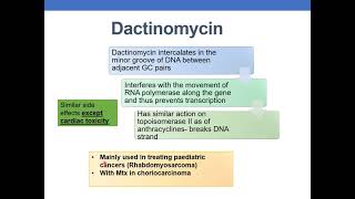 ANTICANCER DRUGS PART 4 CYTOTOXIC ANTIBIOTICS amp PLANT DERIVATIVES [upl. by Eiramenna]