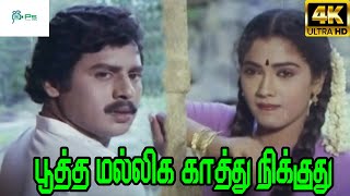 Pootha Malliga Kathu Nikkuthu  பூத்த மல்லிக காத்து நிக்குது SJanaki  H D Solo Song [upl. by Loris]