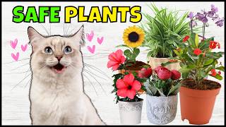 17 Common Houseplants That Are NONTOXIC To Cats [upl. by Marieann931]