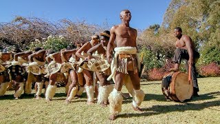 Zulu Dance Explosion A Powerhouse of Tradition and Agility in Every Step 🕺💃 [upl. by Anetsirk]