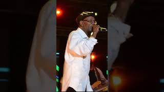 Beres Hammond Performing What One Dance Can Do At Rebel Salute 2016 [upl. by Allimac]