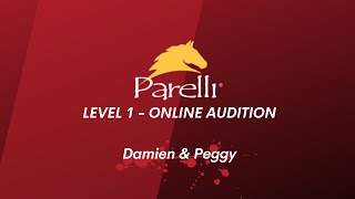 Damien and Peggy  Level 1 Online Parelli Audition PASS 1 [upl. by Aynas]