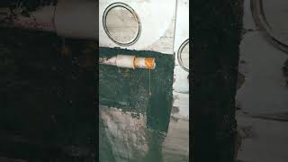 Cpvc pipe connection installation cpvc pipefitting plumbing shorts bathroom constructionindia [upl. by Nehr]