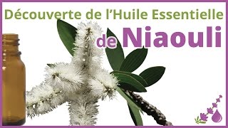 Niaouli  LHuile Essentielle aux nombreuses vertus  Dr Françoise Couic Marinier [upl. by Carena597]