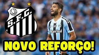 SANTOS DESCARTA RONI E ANUNCIA CONTRATAÇÃO DE ATACANTE DO GRÊMIO [upl. by Cohla415]