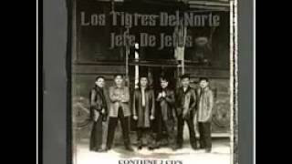 Carne quemada  Los Tigres del Norte [upl. by Narrad532]