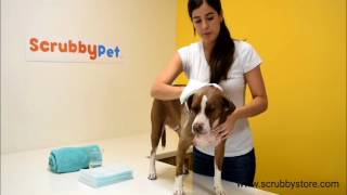 SCRUBBY HOW TO BATH YOUR DOG WITHOUT HAVING TO RINSE [upl. by Oludoet]