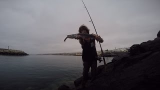 Fishing in Tenerife  LIVE STRIKE Spinning Barracuda catch amp release [upl. by Teodora]