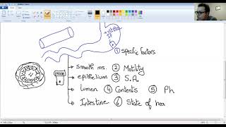 TA7 PHARMA FOR UNDERGRADUATES  GENERAL PHARMACOLOGY 3 [upl. by Ronal]