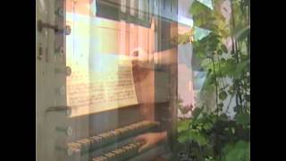 j s bach toccata f dur bwv540 [upl. by Riva192]