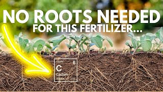 Carbon Fertilizer Is WAY MORE Important Than Nitrogen… 17 Essential Nutrients Series [upl. by Ayital]