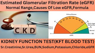 eGFRESTIMATED GLOMERULAR FILTRATION RATENORMAL RANGECAUSES OF LOW GFRGFR REPORT UNDERSTANDING [upl. by Llenrod909]