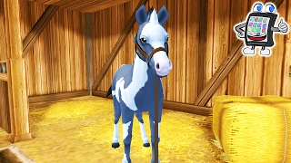 FOHLEN PFLEGEN UND FÜTTERN  Star Stable Horses App deutsch  Spiel mit mir Games [upl. by Seroled]