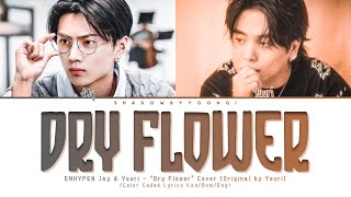 ENHYPEN JAY amp Yuuri  Dry Flower Lyrics Color Coded KanRomEng  ShadowByYoongi [upl. by Ilojna]