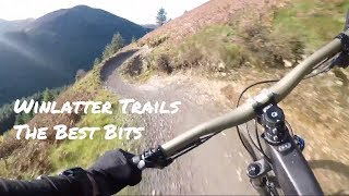 Whinlatter Trail Centre Mountain Biking Lake District  The Best Bits [upl. by Eliason]