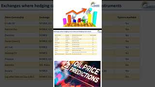 Commodity Hedging with Options Is the Cost Worth It shorts commodities [upl. by Jordanson853]