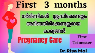 Pregnancy Care for First 3 months Malayalam First Trimester Pregnancy Care tips [upl. by Ripleigh367]