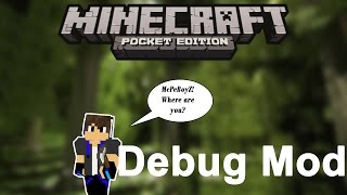 Debug Mod  F3 Screen  XYZCordinates  Minecraft PE [upl. by Koeppel727]