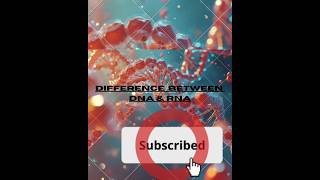 DIFFERENCE BETWEEN DNA AND RNACLASS 12  neet board viralshorts biologymolecularbiology [upl. by Esinyt]