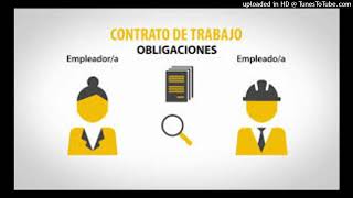 ¿Qué tipo de relaciones contractuales existen en Colombia [upl. by Ateuqahs]