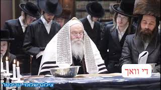 Kretchnif Rebbe Reading megillah  Purim 5784 [upl. by Faria]