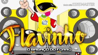 ALÔ DJ  FLAVINHO O BAGAÇO DO FORRÓ [upl. by Jolda339]