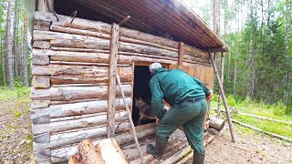 Found an abandoned tiny house Livе Alone in the Forest Off Grid cabin [upl. by Taam]