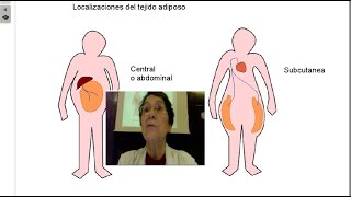 Páncreas 2 Endocrinología del tejido adiposo 1 [upl. by Yehudit]