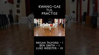 KwangGae Tul Practise taekwondo martialarts practice sports progress blackbelt kwanggae [upl. by Masao918]