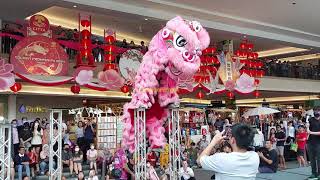 PreCNY 2024  忠威 Zhong Wai Acrobatic Lion Dance at CITTA Mall [upl. by Onileba778]