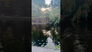 Delft Netherlands netherlands netherlandstourism nature europe shorts short viralvideo [upl. by Blessington311]