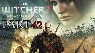 Lets Play The Witcher 2 Part 42  Pogrom [upl. by Nirrej]