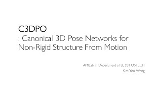 Seminar C3DPO Canonical 3D Pose Networks for NonRigid Structure From Motion [upl. by Ayel]